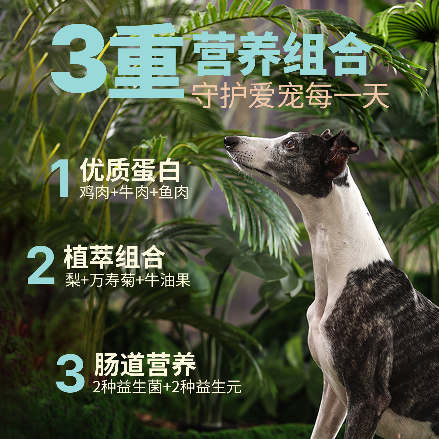 图 2