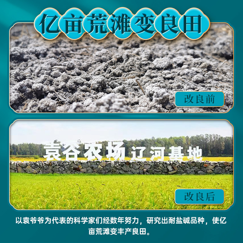 袁隆平耐盐碱珍珠米5kg东北大米10斤盘锦真空包装2022年当季新米