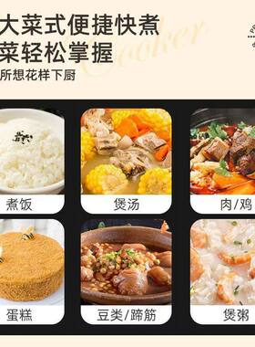 半球电压力锅家用高压锅智能小型多功能迷你5-6人煲汤煮饭电饭锅