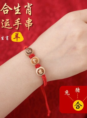 乙巳蛇年三合六合桃木生肖红绳驾车用品