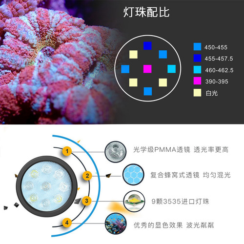 keloray钜彩AN30S海水微缸灯全光谱LED灯背滤小型海水鱼缸珊瑚灯 - 图0