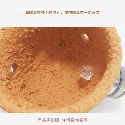 磁吸悬浮葵巢奶嘴杯防跑珊瑚罐子海水鱼缸专用造景装饰海葵窝固定 - 图1