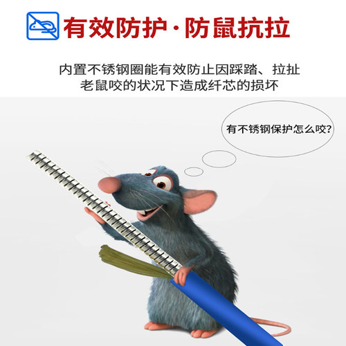 正通飞达工程电信级单模光缆 LC/SC/FC/ST防鼠铠装光纤跳线单模双芯尾纤定做长度网吧升级穿线管接头3米5米 - 图1