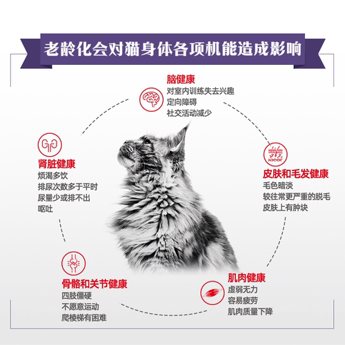 皇家老年猫粮全价猫粮SC36主粮适用专用7岁以上1.5KG官方旗舰店 - 图2