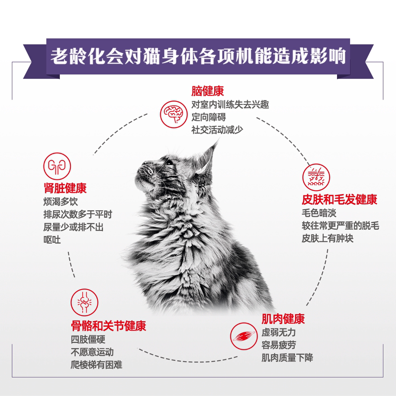 商品缩略图 3