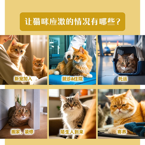 【官方正品】皇家成猫泌尿道MUC34处方粮（情绪舒缓）1.5Kg*3 - 图1