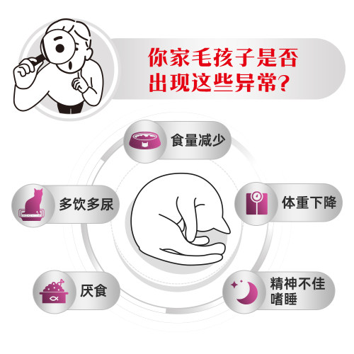 【官方正品】皇家成猫肾脏全价处方粮RF23猫粮呵护肾脏4KG - 图1