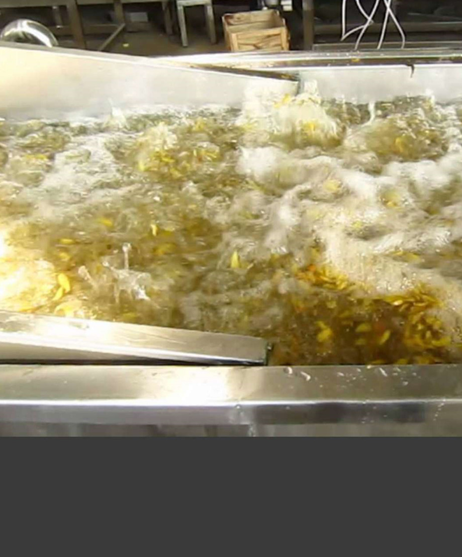 按需定制 电加热漂烫机 海产品龙虾蒸煮设备 小型或流水线供选择 - 图1