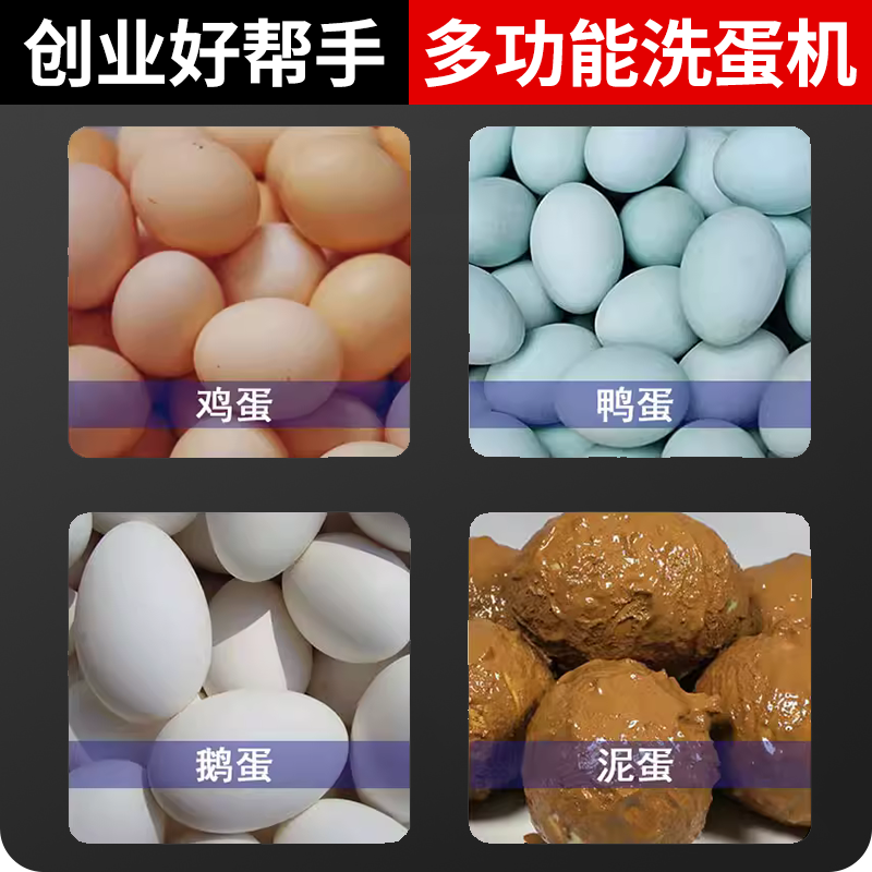 洗蛋机新型全自动蛋品清洗机泥蛋麻将蛋咸鸭蛋不锈钢鸡蛋清洗机,淘宝优惠券,粉丝福利购,淘宝优惠卷
