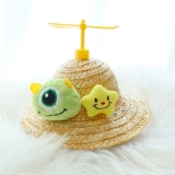 Ins Feng Cat Dog Universal Flowers Соломенная шляпа сфотографируйте