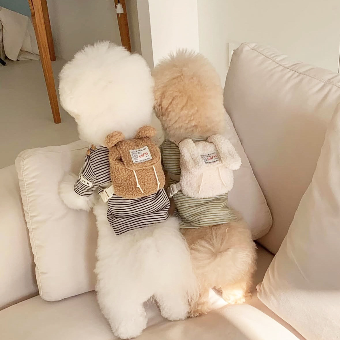 宠物背包外出狗狗猫咪零食包毛绒兔兔小熊自背包小型犬比熊泰迪,淘宝优惠券,粉丝福利购,淘宝优惠卷