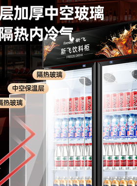 新飞商用冷藏展示柜双门饮料