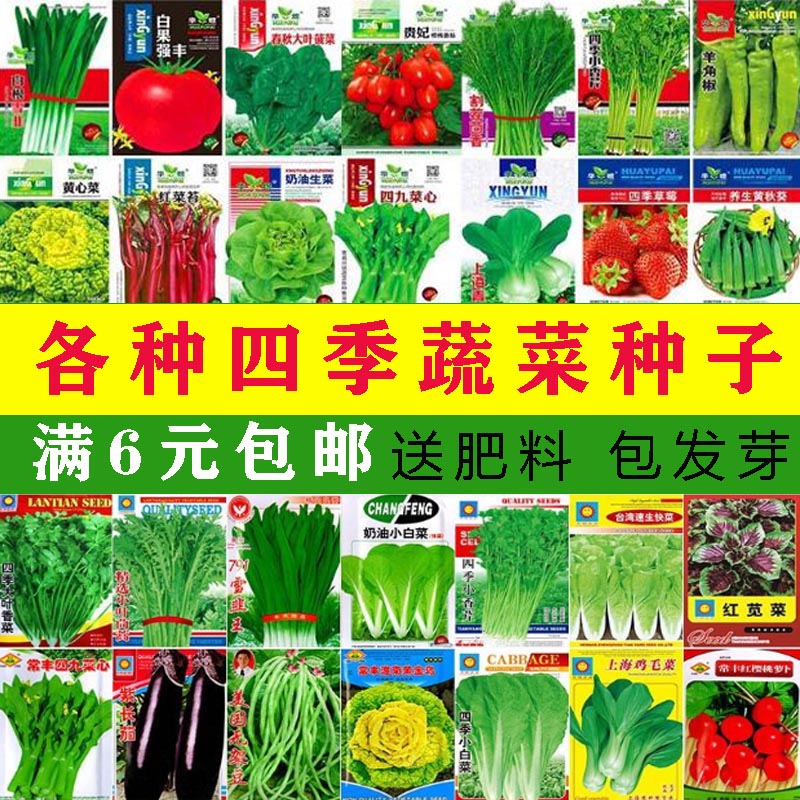 蔬菜种子生菜甜瓜秋葵冬瓜羊角蜜南瓜种孑青瓜香菜西红柿韭菜种籽 - 图0