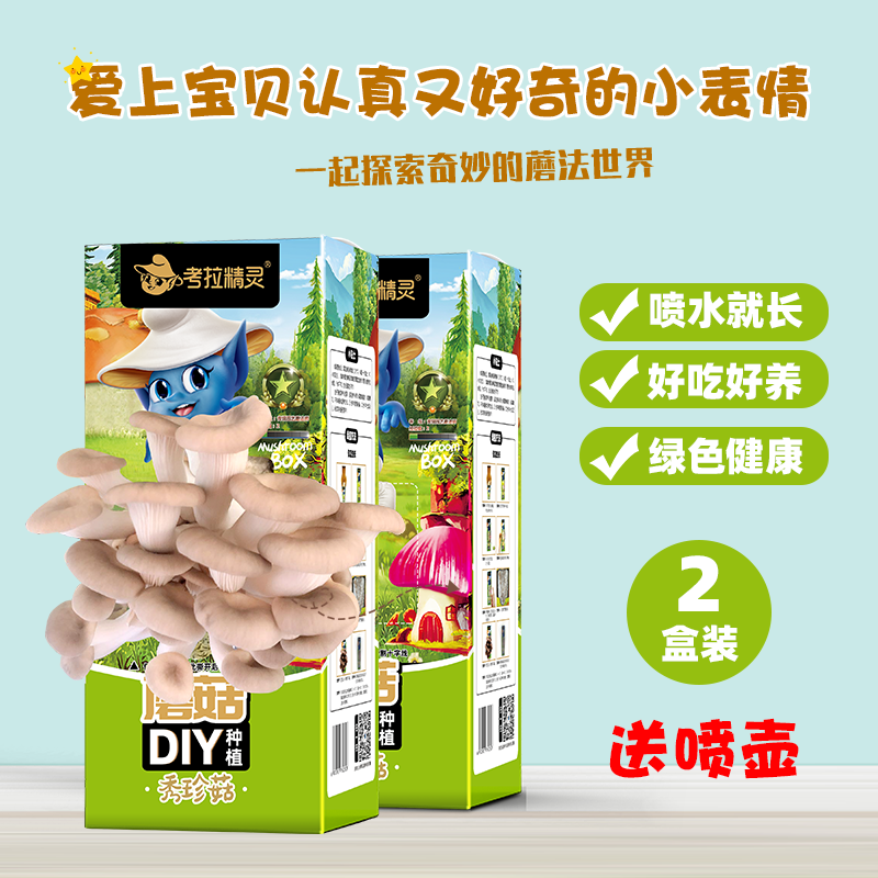 考拉精灵平菇蘑菇种植包菌包2盒装可食用儿童diy菌菇棒菌种子盆栽 - 图2