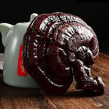 整颗灵芝大朵肥厚可切片[137元优惠券]-寻折猪