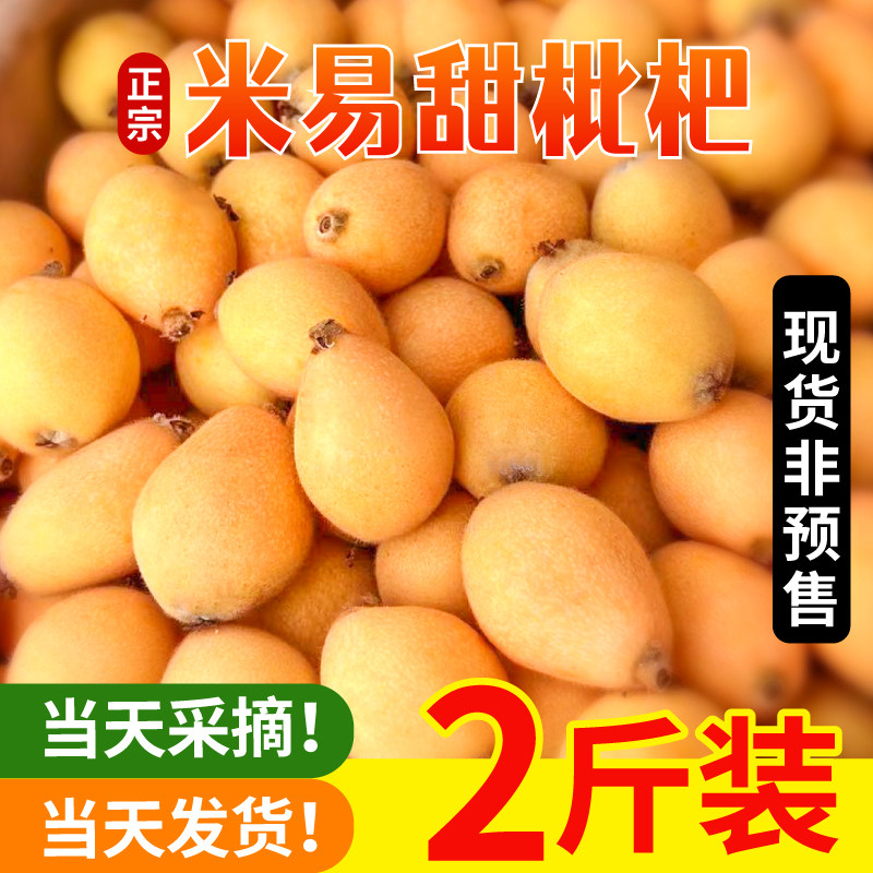 攀枝花米易枇杷琵琶水果新鲜当季整箱2斤包邮琵琶果枇杷大果鲜果