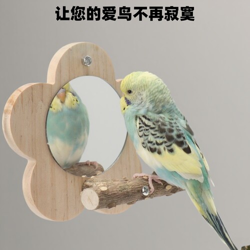鹦鹉用品花椒木站架鹦鹉镜子啃咬站台鸟笼站架杆虎皮牡丹玄凤玩具 - 图2