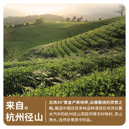 杭州径山 九宇抹茶国产有机焙茶粉hojicha焦糖香焙茶拿铁冲饮烘焙 - 图1