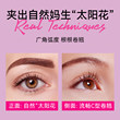 RT eyelash curler natural curling sun flower