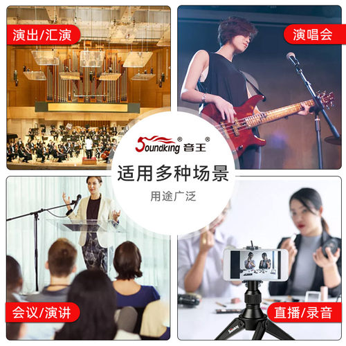 音王话筒架子落地式专业K歌直播舞台演出麦架桌面无线麦克风支架 - 图1
