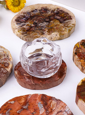 天然木化石切片马达加斯加木化石切片景观奇石茶杯垫底座家居