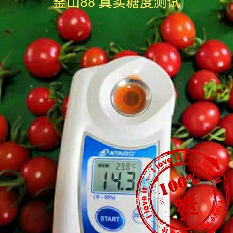 釜山88小番茄种子玲珑小番茄种红色小番茄种子苗子圣女果种糖度高,淘宝优惠券,粉丝福利购,淘宝优惠卷