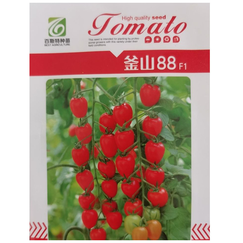 釜山88小番茄种子玲珑小番茄种红色小番茄种子苗子圣女果种糖度高,淘宝优惠券,粉丝福利购,淘宝优惠卷