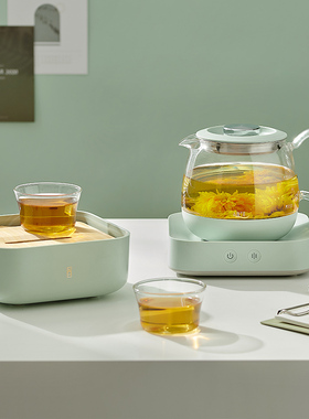 入一多功能养生壶煮茶器