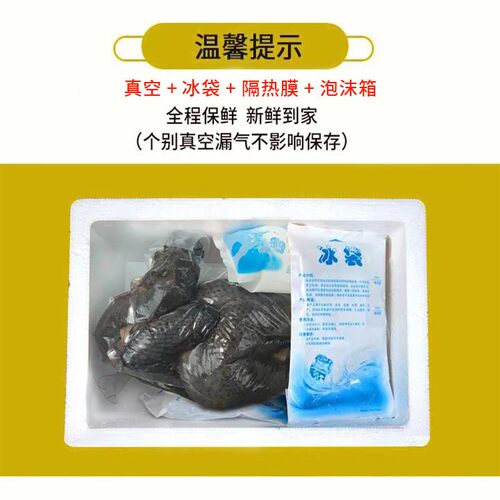 新鲜正宗乌鸡乌骨鸡 冬季滋补炖汤 800g*3只 - 图3