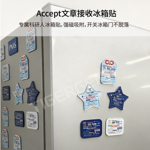 Tigergene原创科研accept文章接收钥匙扣冰箱贴挂件科研御守礼物 - 图3
