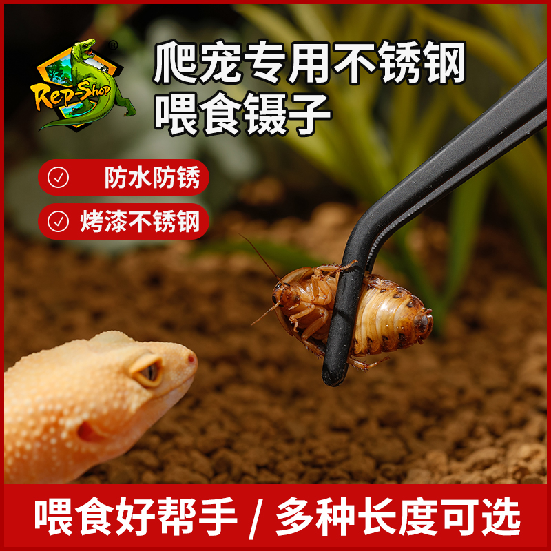 RS爬宠镊子昆虫乌龟角蛙清理粪便陆龟蜥蜴蜘蛛蛇爬虫守宫喂食夹子 - 图0