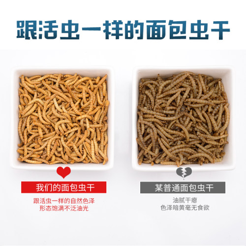 Rep-Shop冻干面包虫干仓鼠乌龟刺猬龙鱼饲料角蛙蜥蜴守宫宠物零食 - 图2