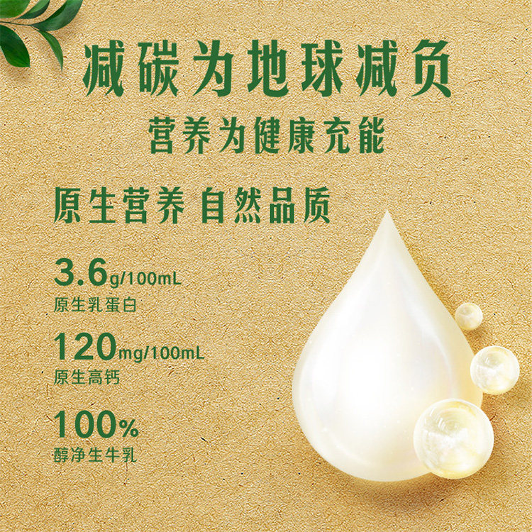 金典旗舰店低碳纯牛奶250ml*2箱装送礼儿童学生营养早餐奶MS 图 5