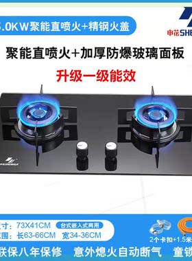 煤气灶双灶定时家用燃气灶台式两用天然气液化气九腔猛火灶