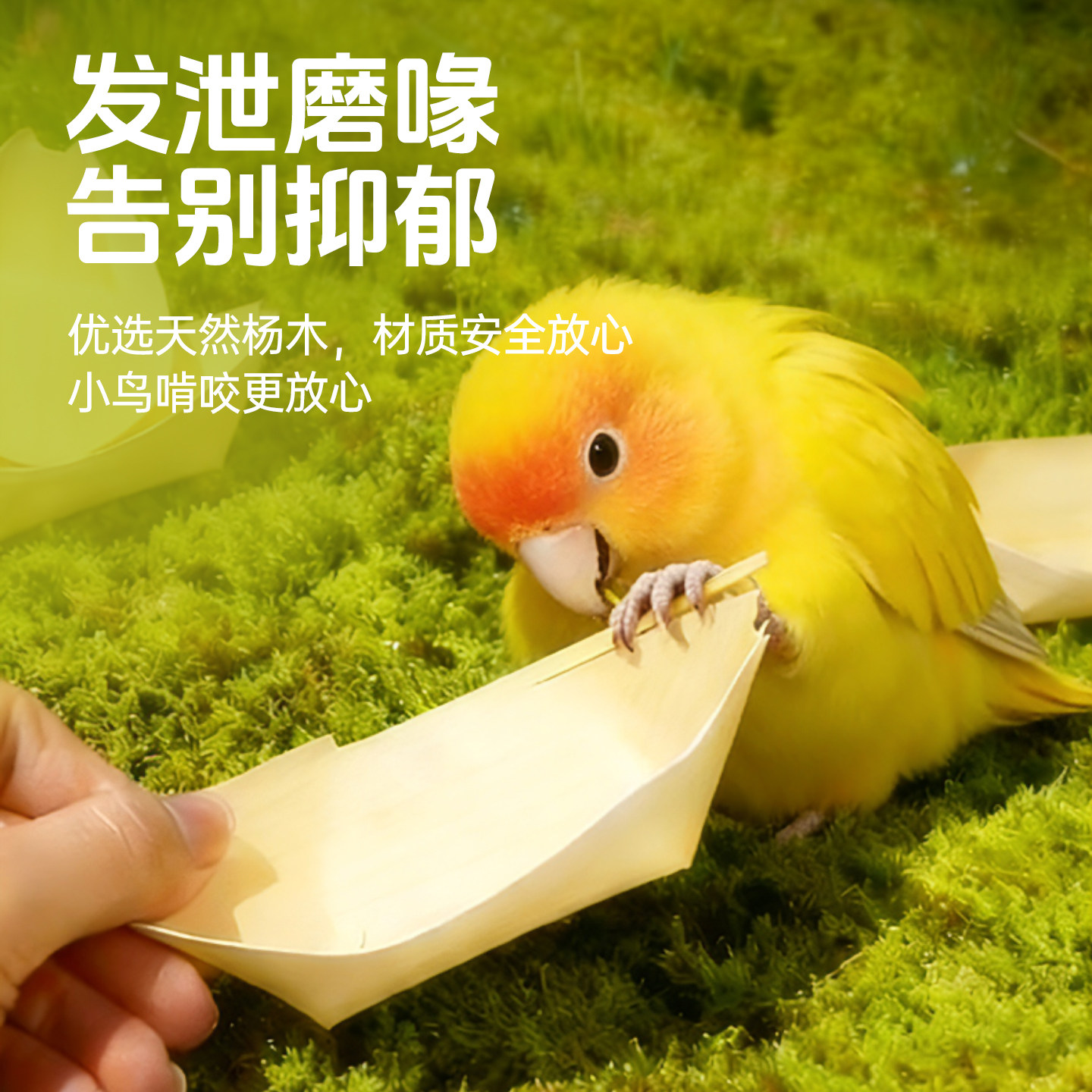 宠尚天鹦鹉磨牙玩具解闷啃咬木皮小船牡丹玄风虎皮自嗨鸟笼用品,淘宝优惠券,粉丝福利购,淘宝优惠卷