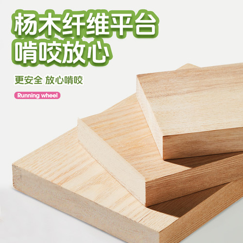 宠尚天鹦鹉跑轮玩具玩耍解闷益智滚轮虎皮玄凤小太阳鸟笼造景玩具 - 图0