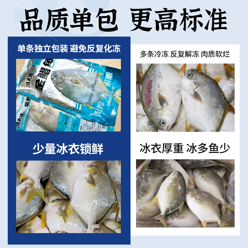 【顺丰】潮夫道湛江金鲳鱼新鲜冷冻特大金昌鱼海鱼海鲜水产鲜活,淘宝优惠券,粉丝福利购,淘宝优惠卷