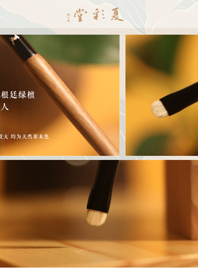 夏彩堂中国铺色刷小门牙刷型