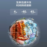 Rongshida-65 ° C Ультра-низкая температура холодного шкафа-40 ° C замороженная скорость замороженная холодильник Коммерческий шкаф мороженого с большим мороженым.