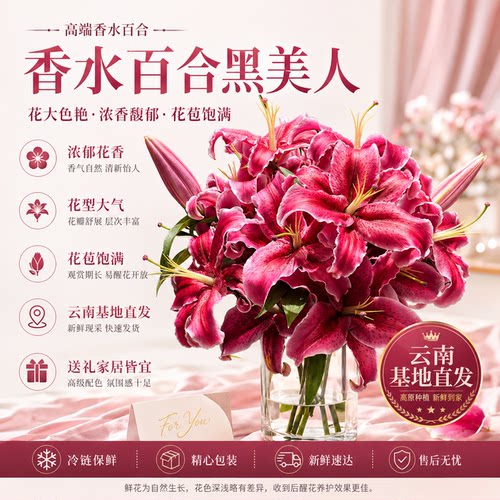 黄天霸百合花小雏菊鲜花黄色重瓣香水百合顺丰次日达插瓶水养花卉 - 图3