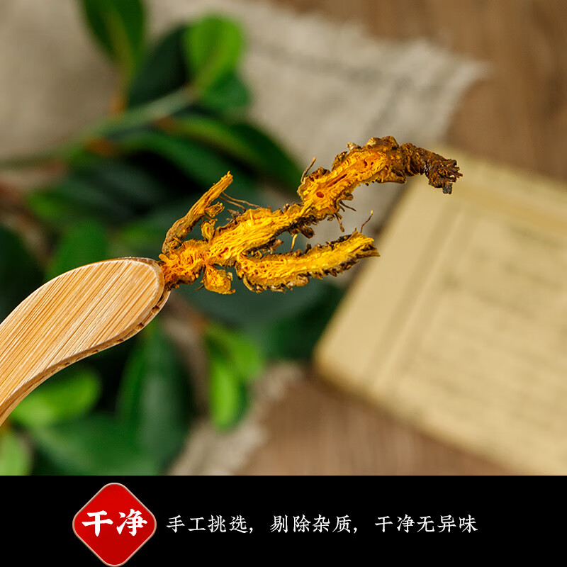 黄连肉桂茶正品中药材交泰丸鸡爪川黄莲片泡水茶包粉厚朴上热下寒-图1