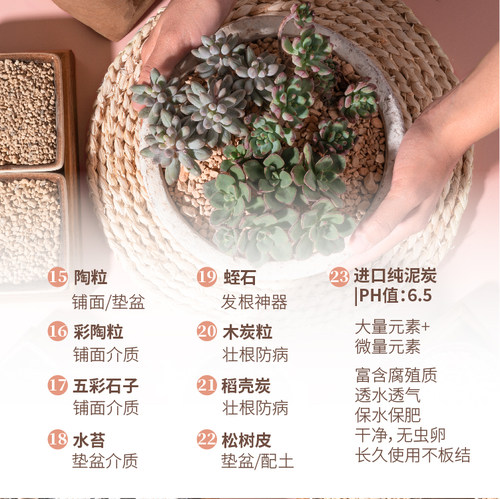 包装铺面石介质颗粒多肉黄金沙麦饭石火山岩赤玉土稻壳炭营养进口 - 图2