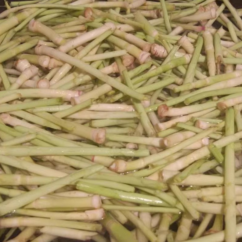 荆州特产野生芦苇笋柴笋子狄笋芦笋新鲜蔬菜野菜财笋鲜嫩五斤包邮 - 图1