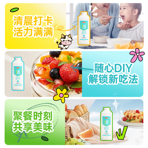 金河益生菌低温酸牛奶原味朗姆味大桶装风味发酵酸奶1kg*2 - 图2