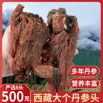 Tibetan wild red sage root whole root for many years raw purple-red sage root 8 heads 500 gr Chinese herbal medicine tea-making soup