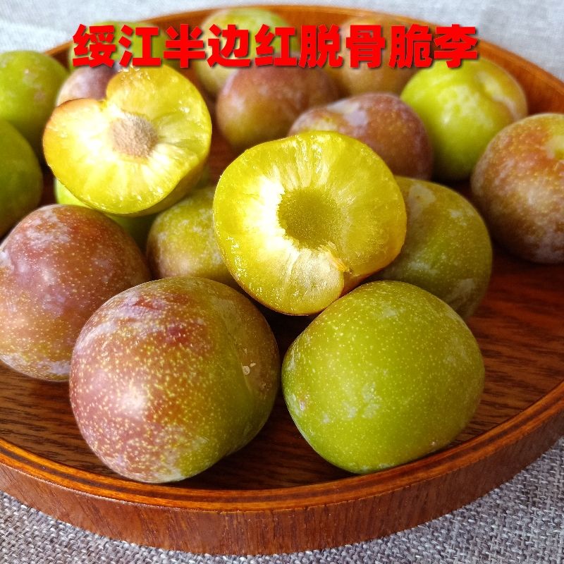 果之情旗舰店水果新鲜现摘云南绥江半边红脱骨李子四川脆甜茵红李应季 5斤包邮0