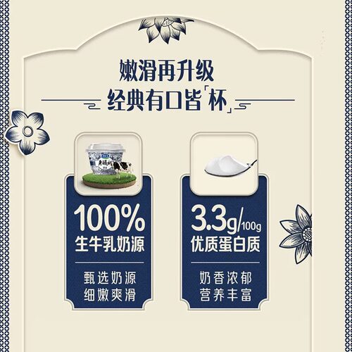 君乐宝酸奶碗装老酸奶风味酸牛奶生牛乳益生菌早餐奶整箱装老酸奶 - 图0