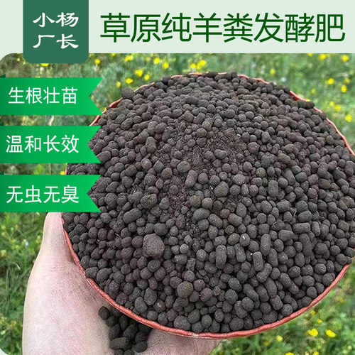 小杨厂长腐熟发酵羊粪肥内蒙古羊粪有机发酵花肥种菜果树蔬菜专用 - 图1
