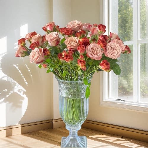 A级卡布奇诺玫瑰鲜花云南昆明基地直发鲜切花水养插花凯瑟琳玫瑰 - 图0