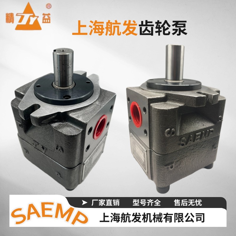 NB4-C80F100F125FNB5-C160F200F250F20F25F32F40F50F63航发低压泵 - 图2